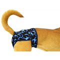 Seasonals Seasonals 41216BFL Washable Male Dog Belly Band; Blue Flames - Extra Large 41216BFL